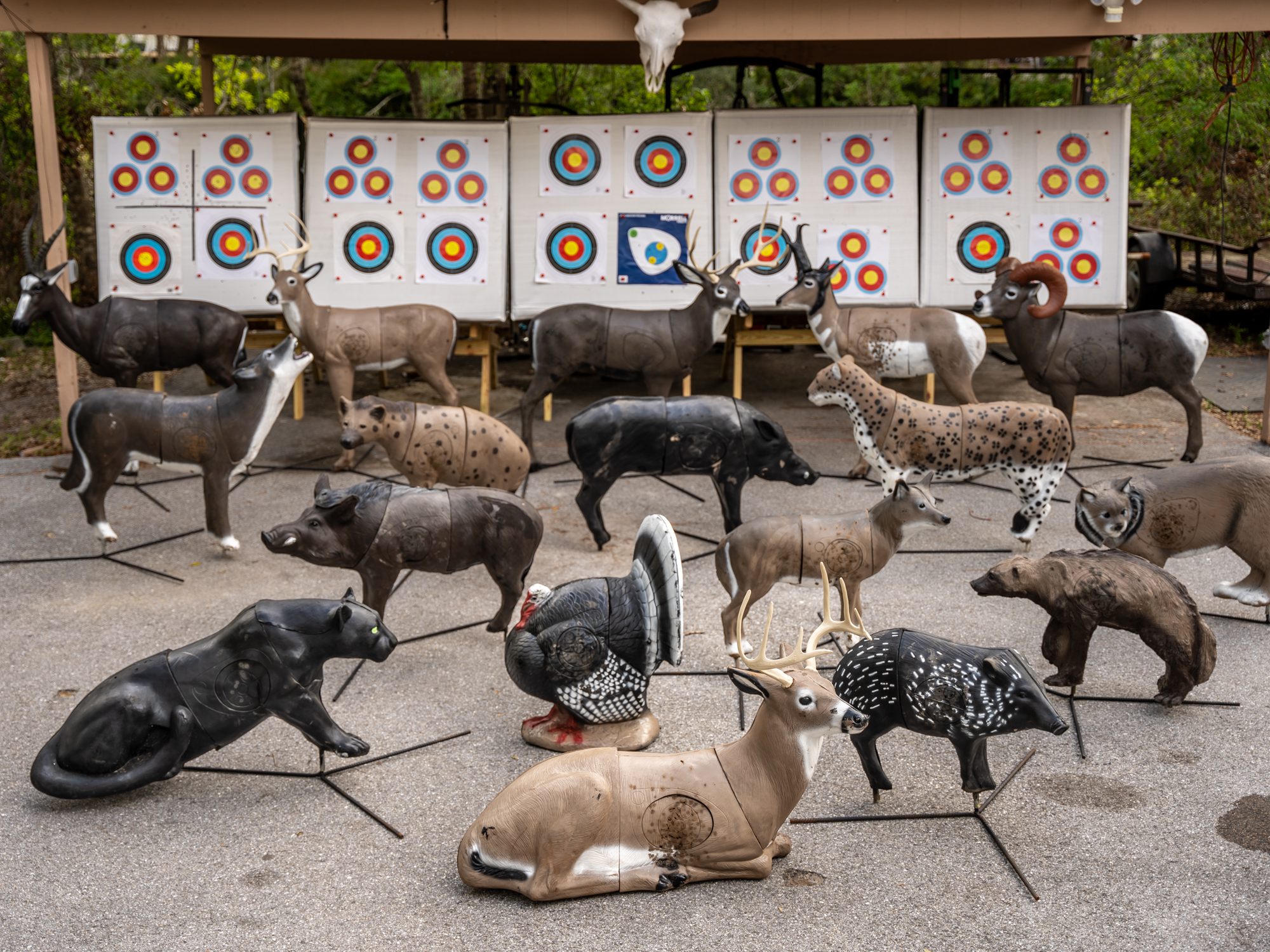 Outdoor archery range at Archery Sarasota, bowhunting coaching and training in Sarasota, FL